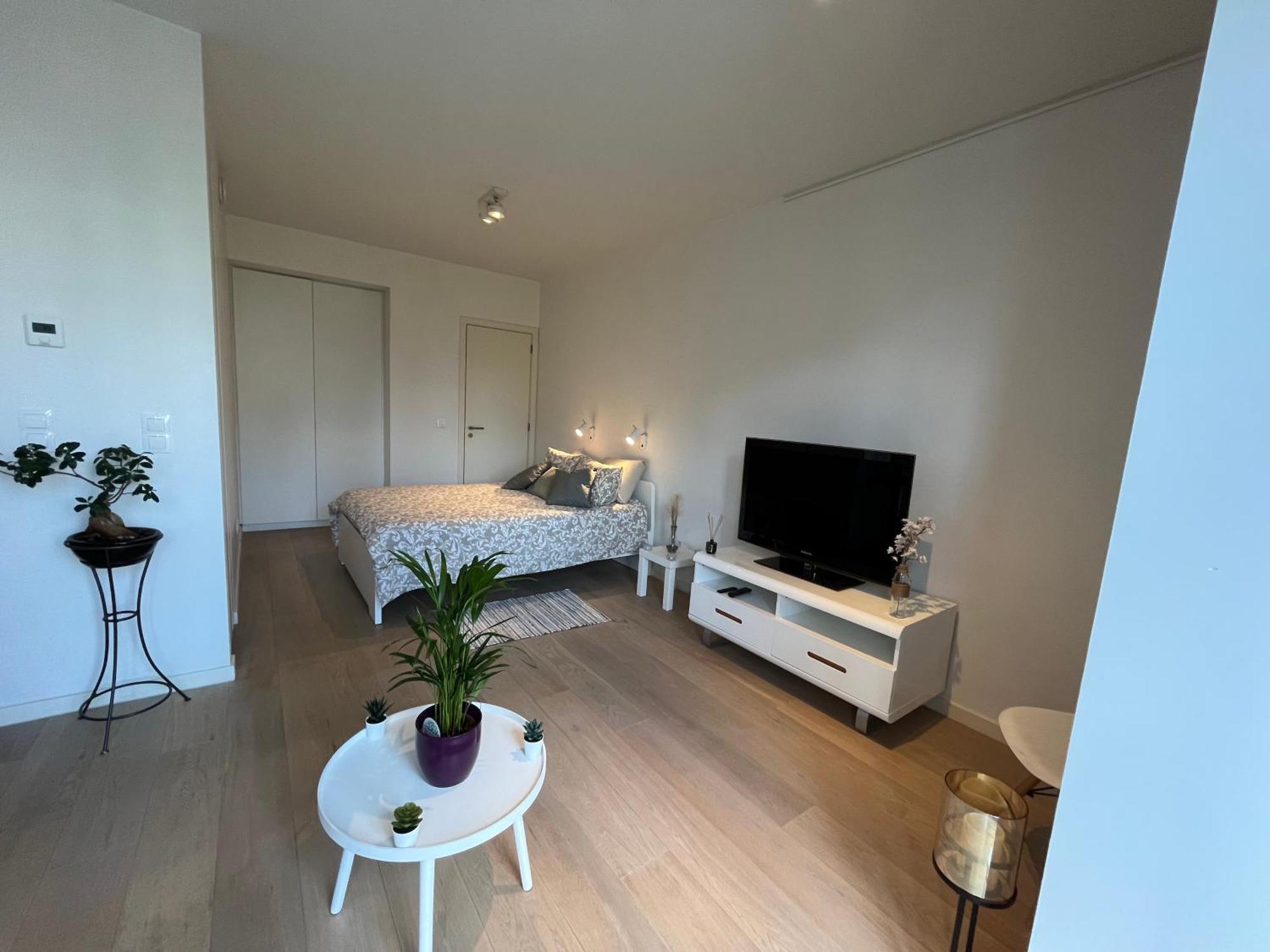 5Ensational Studio - Center Leilighet Brussel Eksteriør bilde